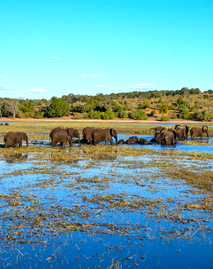 Dynamic Content Image