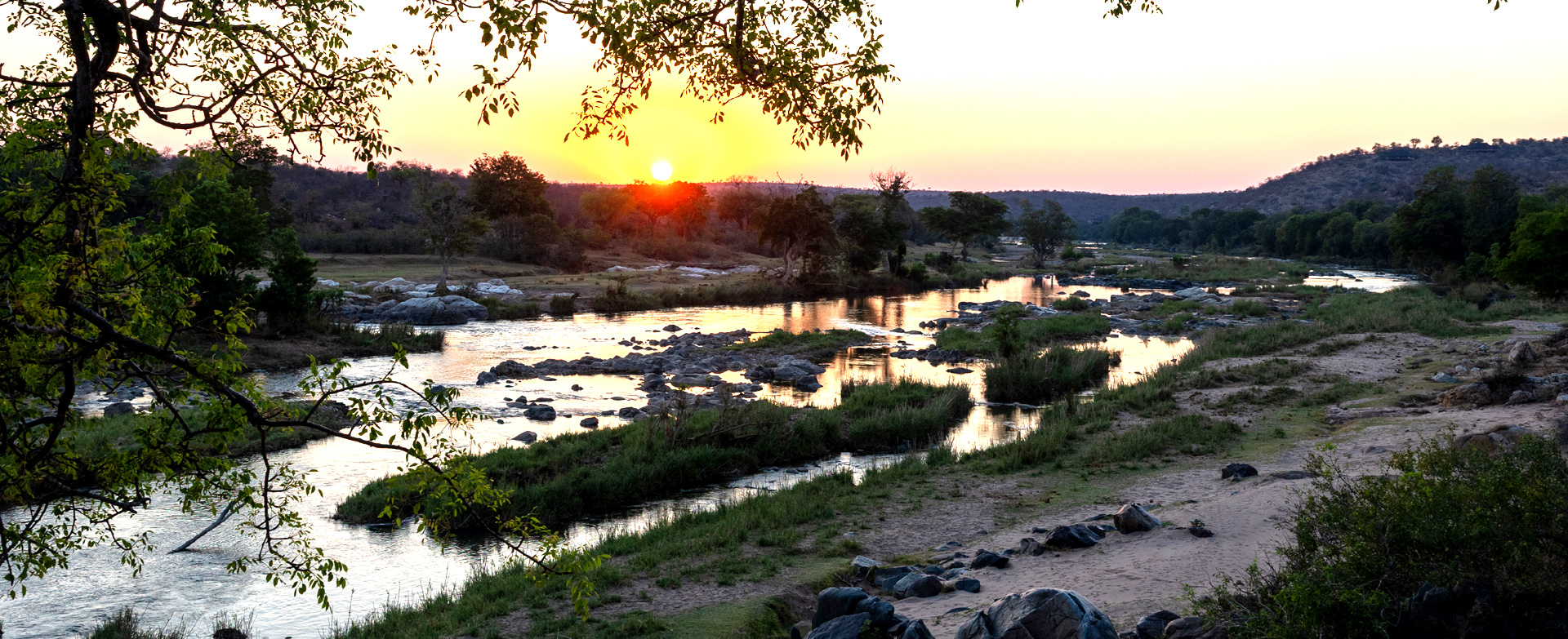 Dynamic Content Image