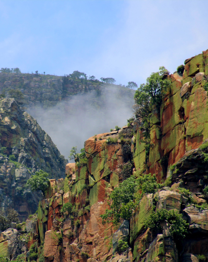 Dynamic Content Image