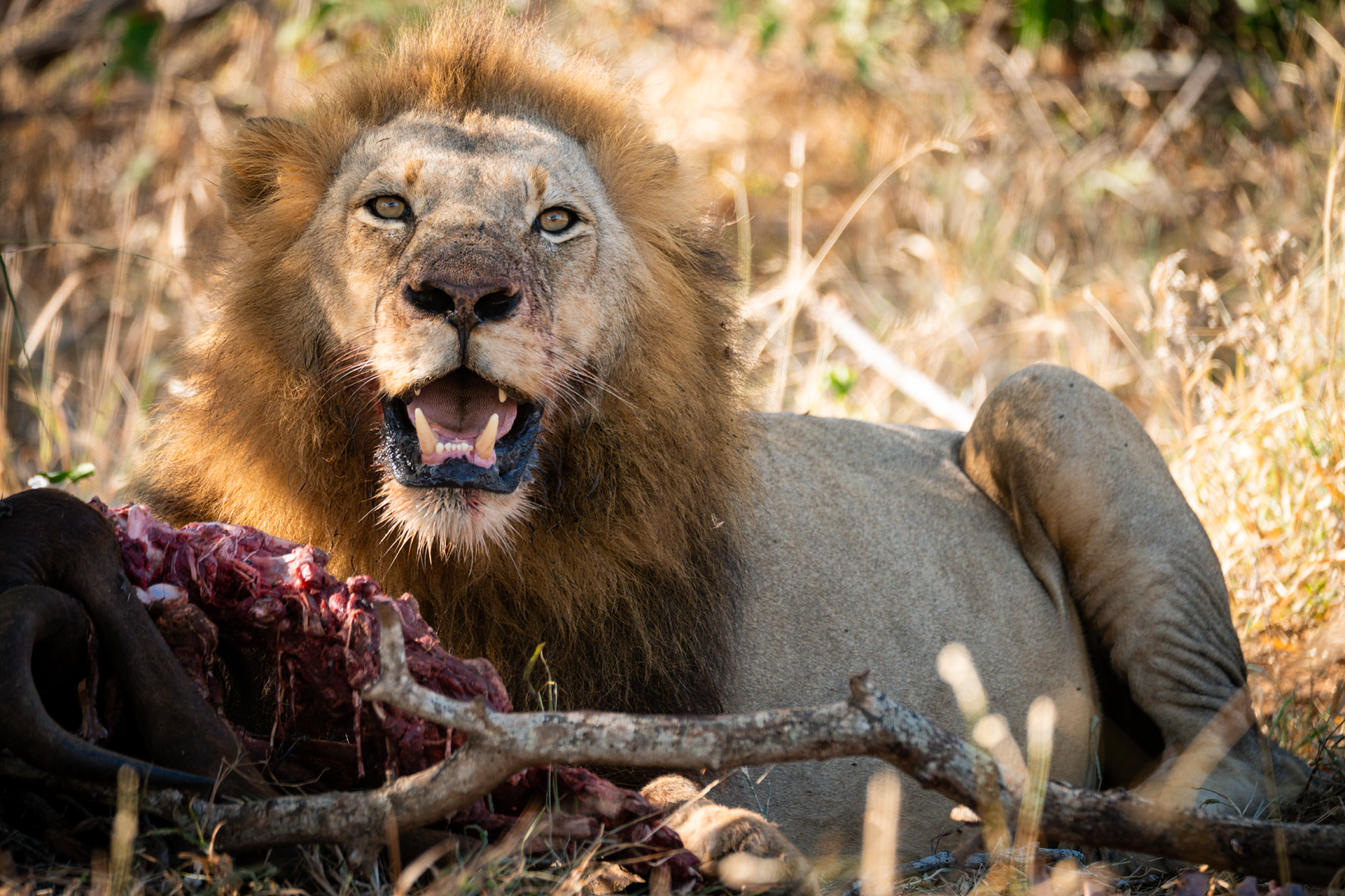 Dynamic Content Image