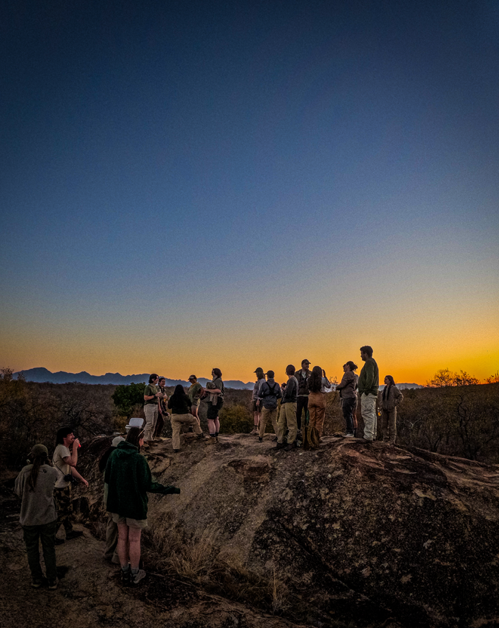 Dynamic Content Image