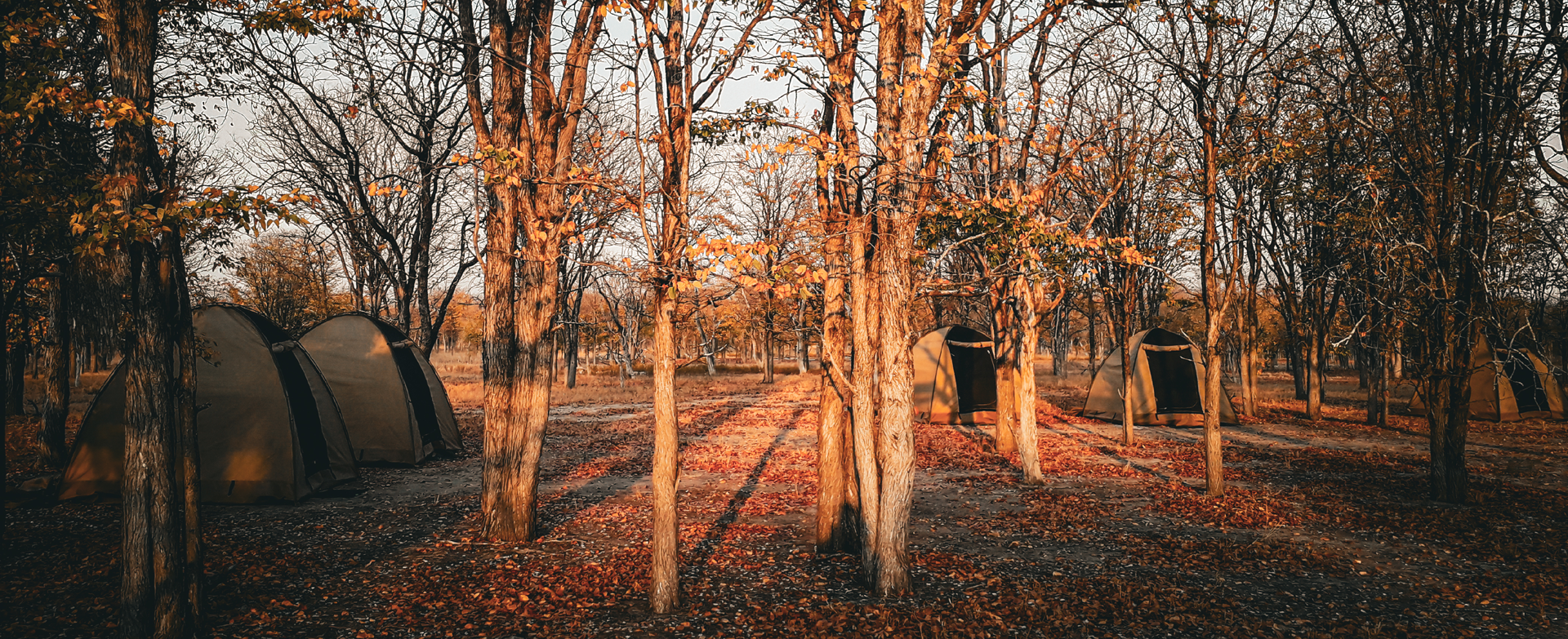 Dynamic Content Image