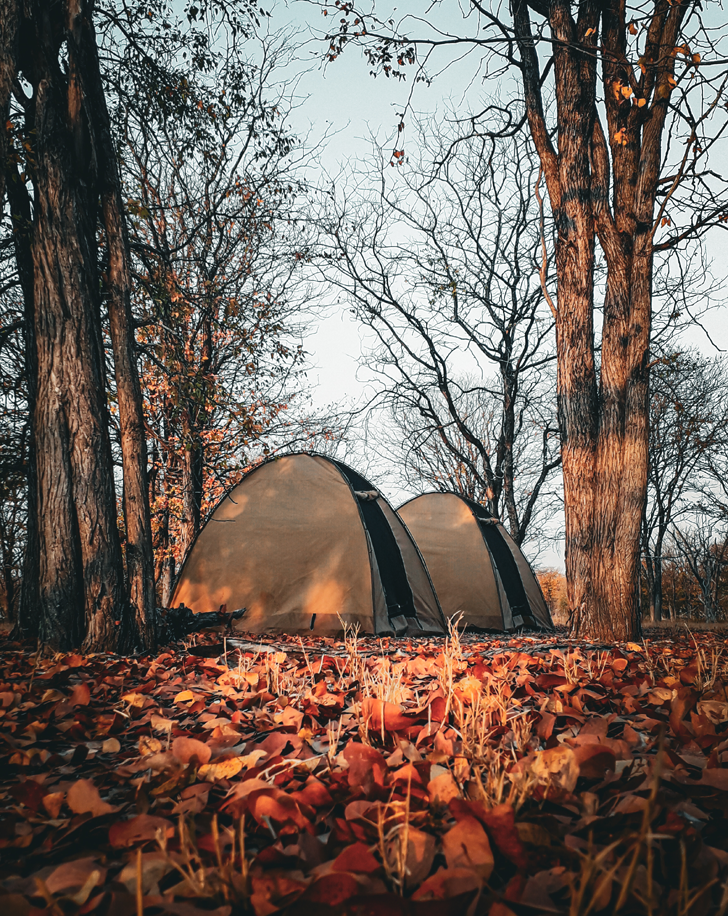 Dynamic Content Image